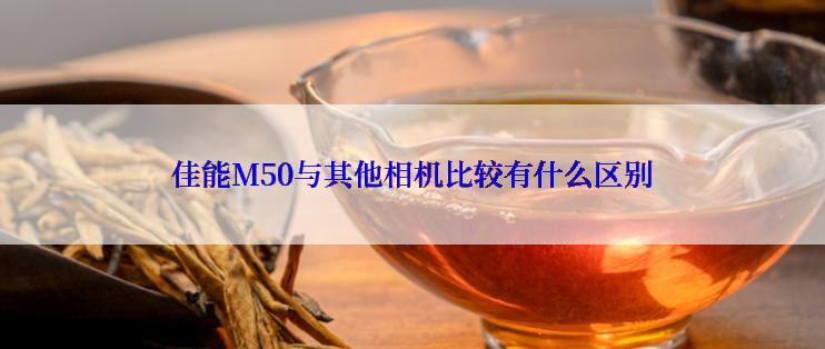 佳能M50与其他相机比较有什么区别