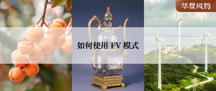 如何使用 FV 模式