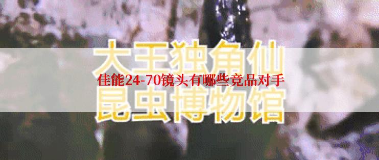  佳能24-70镜头有哪些竞品对手