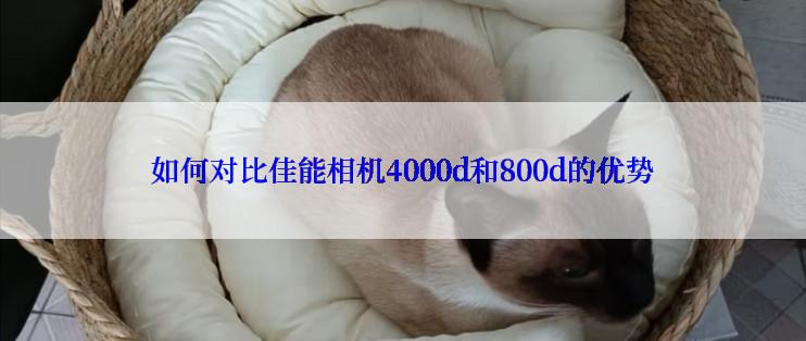 如何对比佳能相机4000d和800d的优势