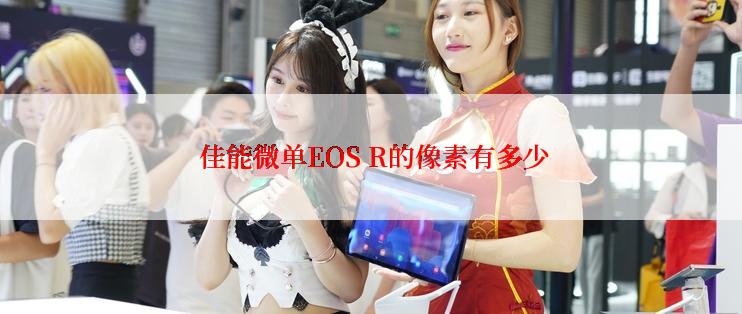  佳能微单EOS R的像素有多少