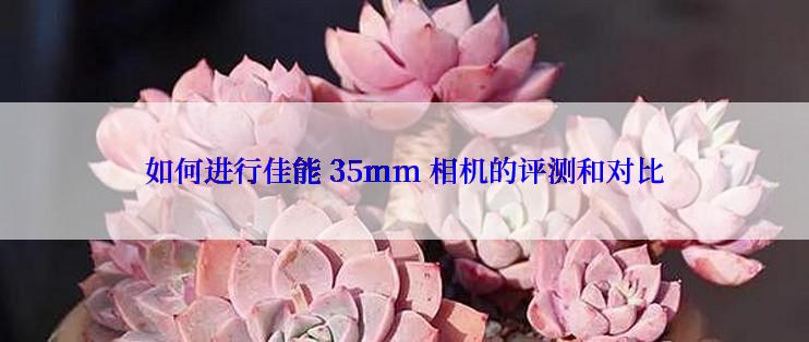 如何进行佳能 35mm 相机的评测和对比