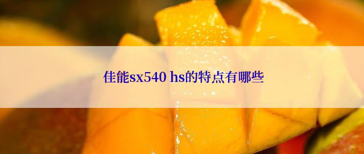  佳能sx540 hs的特点有哪些