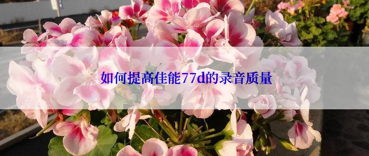  如何提高佳能77d的录音质量