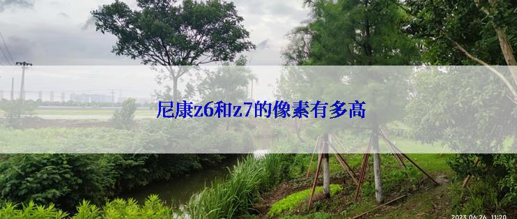  尼康z6和z7的像素有多高