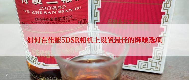 如何在佳能5DSR相机上设置最佳的降噪选项