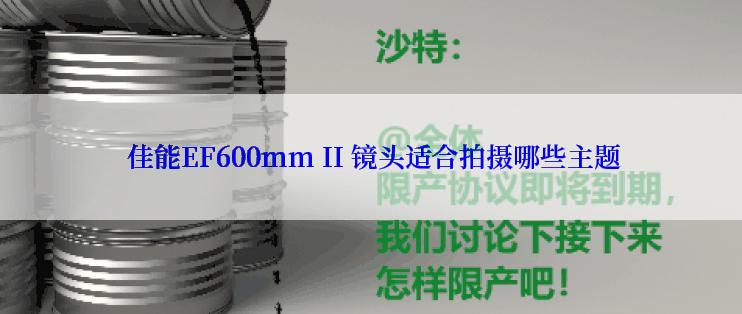  佳能EF600mm II 镜头适合拍摄哪些主题