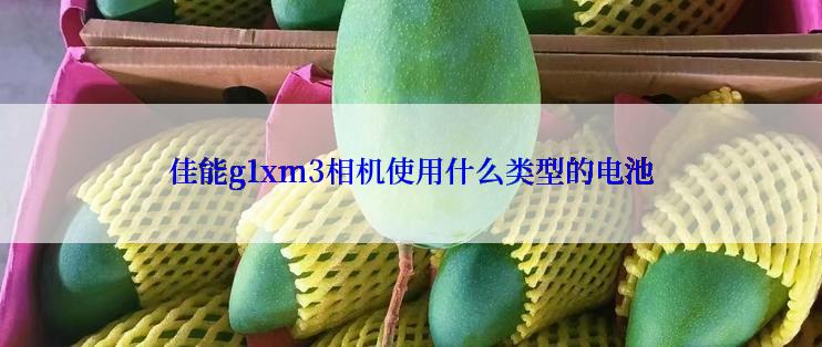 佳能g1xm3相机使用什么类型的电池