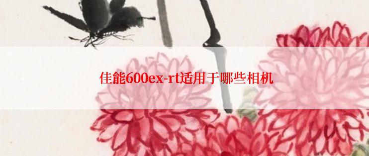  佳能600ex-rt适用于哪些相机