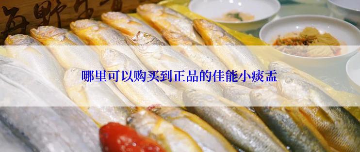 哪里可以购买到正品的佳能小痰盂