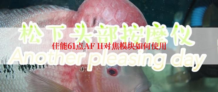 佳能61点AF II对焦模块如何使用