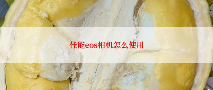 佳能eos相机怎么使用