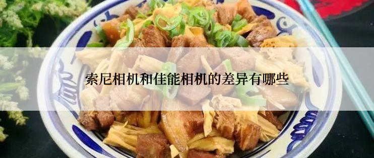 索尼相机和佳能相机的差异有哪些