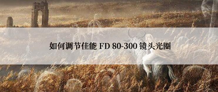  如何调节佳能 FD 80-300 镜头光圈