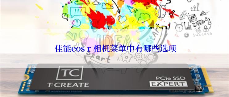  佳能eos r 相机菜单中有哪些选项