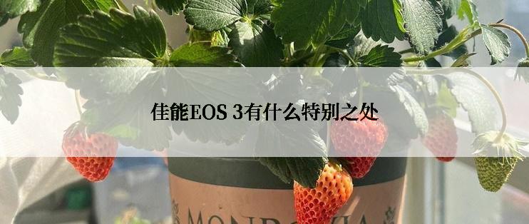 佳能EOS 3有什么特别之处