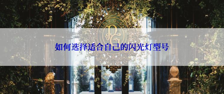 如何选择适合自己的闪光灯型号