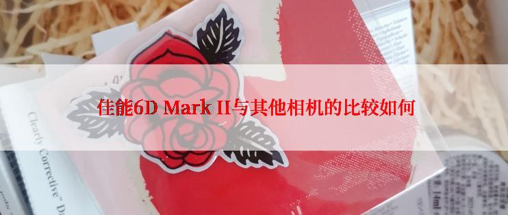  佳能6D Mark II与其他相机的比较如何