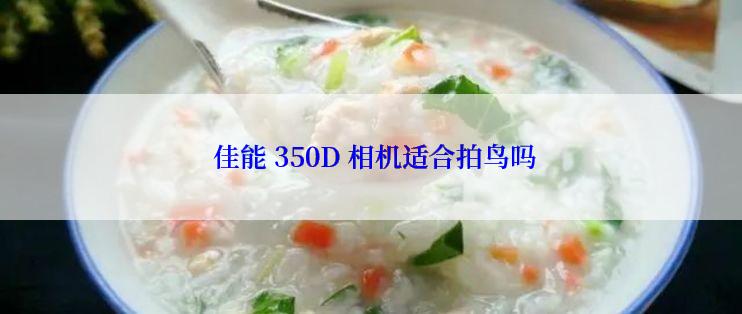  佳能 350D 相机适合拍鸟吗