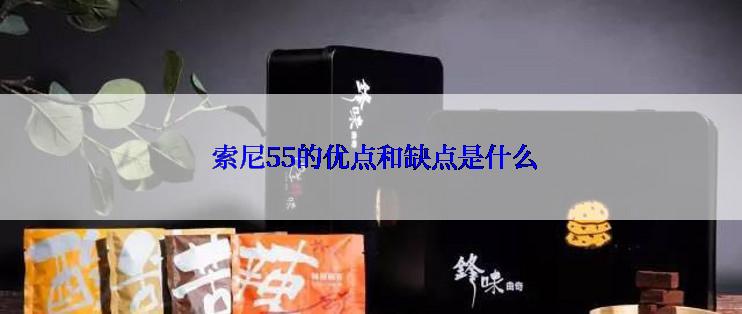  索尼55的优点和缺点是什么