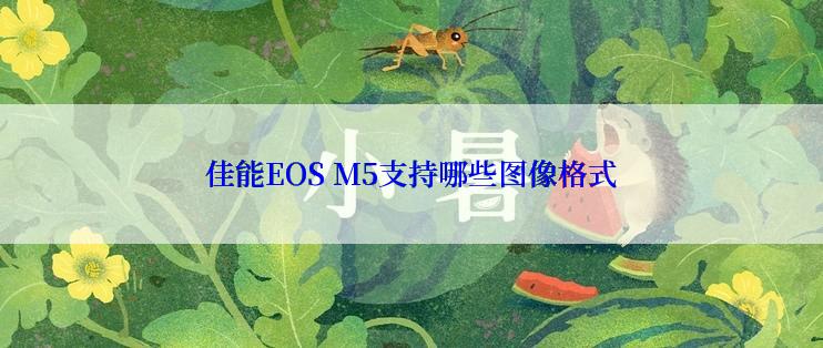 佳能EOS M5支持哪些图像格式