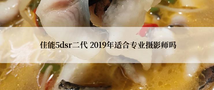  佳能5dsr二代 2019年适合专业摄影师吗