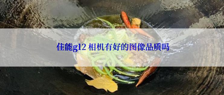  佳能g12 相机有好的图像品质吗