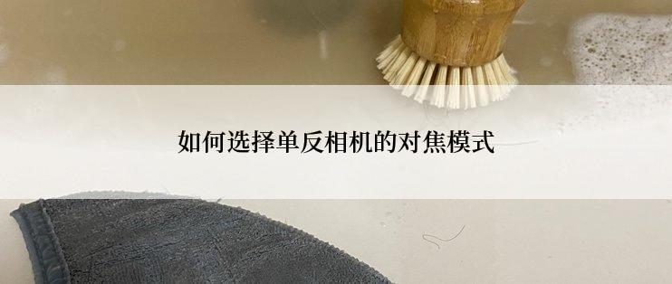 如何选择单反相机的对焦模式