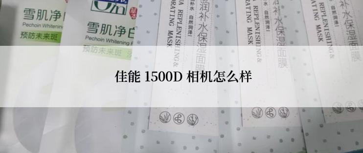  佳能 1500D 相机怎么样