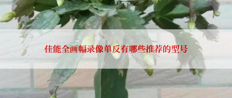 佳能全画幅录像单反有哪些推荐的型号