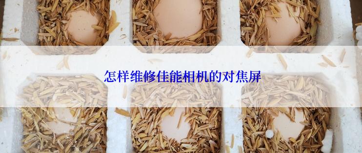  怎样维修佳能相机的对焦屏