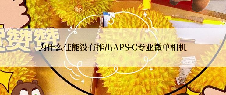 为什么佳能没有推出APS-C专业微单相机