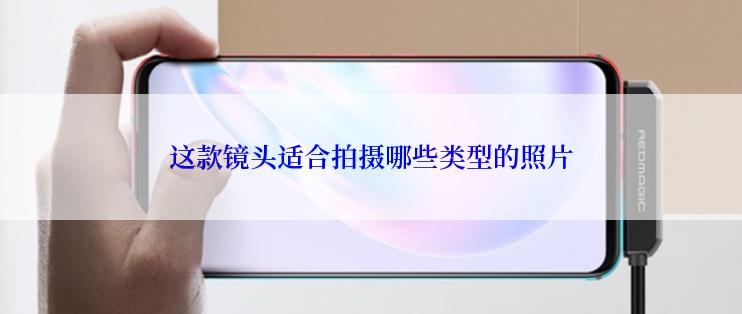 这款镜头适合拍摄哪些类型的照片