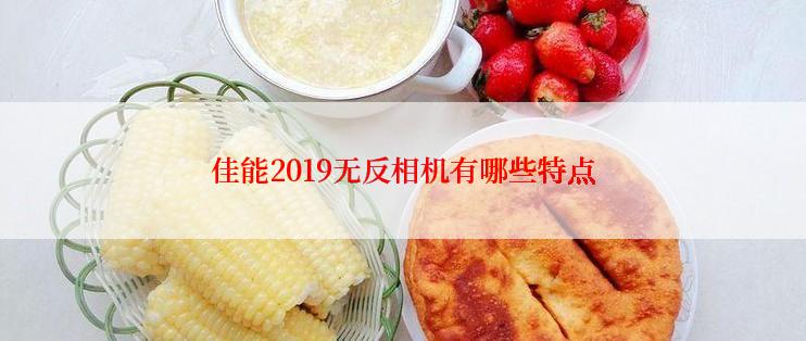 佳能2019无反相机有哪些特点