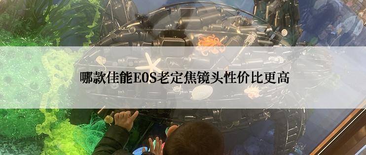  哪款佳能E0S老定焦镜头性价比更高