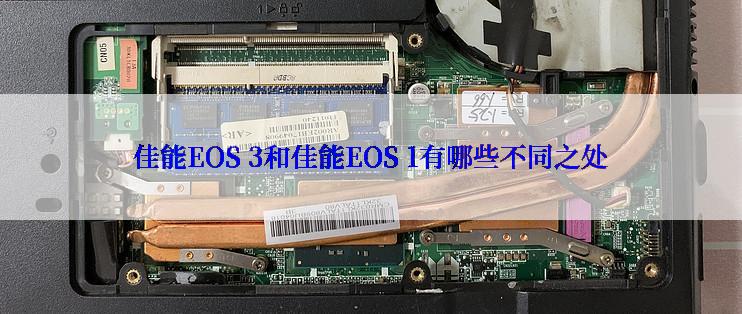 佳能EOS 3和佳能EOS 1有哪些不同之处