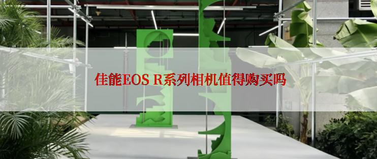  佳能EOS R系列相机值得购买吗