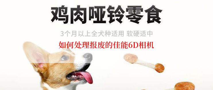 如何处理报废的佳能6D相机