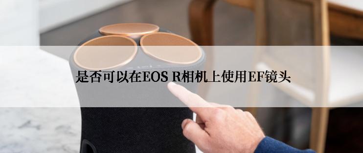  是否可以在EOS R相机上使用EF镜头