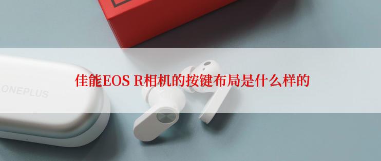  佳能EOS R相机的按键布局是什么样的