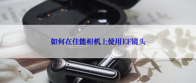 如何在佳能相机上使用EF镜头