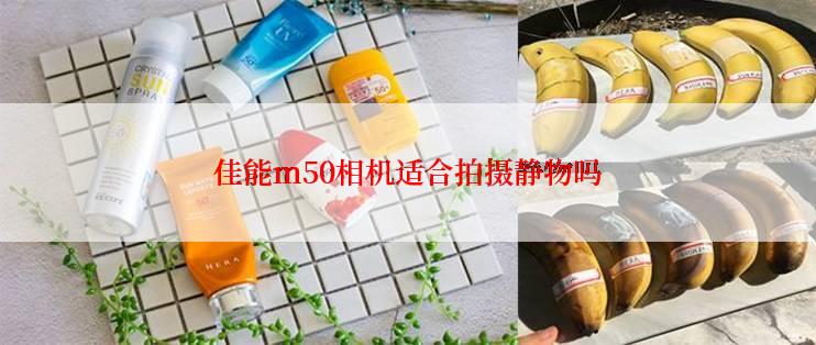 佳能m50相机适合拍摄静物吗