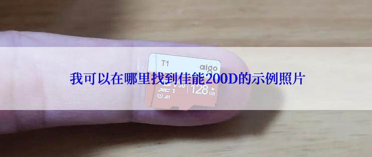  我可以在哪里找到佳能200D的示例照片