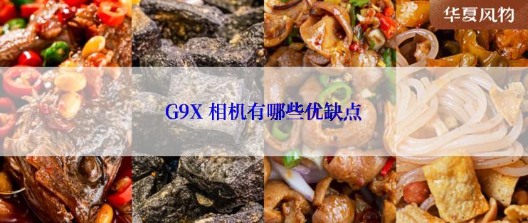 G9X 相机有哪些优缺点