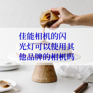 佳能相机的闪光灯可以使用其他品牌的相机吗