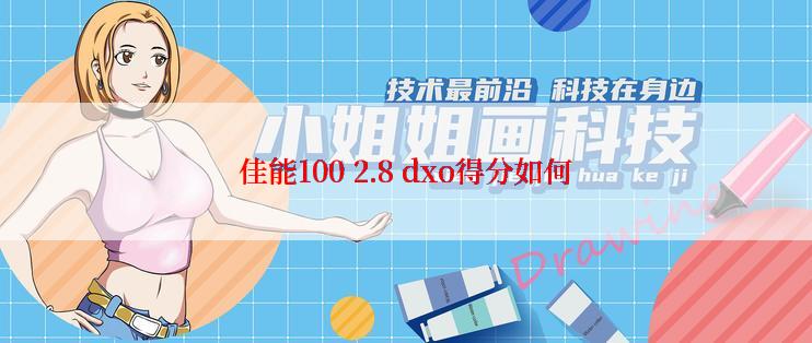 佳能100 2.8 dxo得分如何