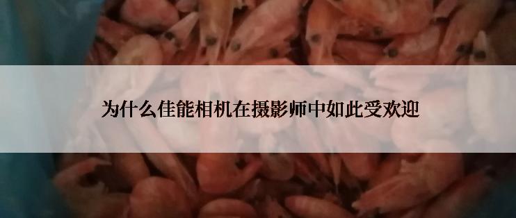  为什么佳能相机在摄影师中如此受欢迎