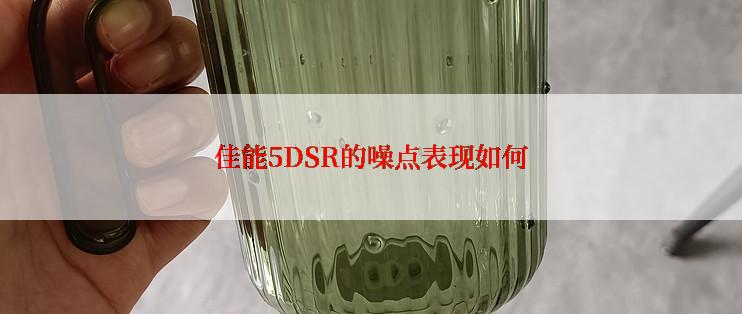 佳能5DSR的噪点表现如何