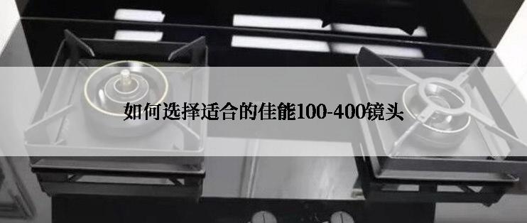 如何选择适合的佳能100-400镜头