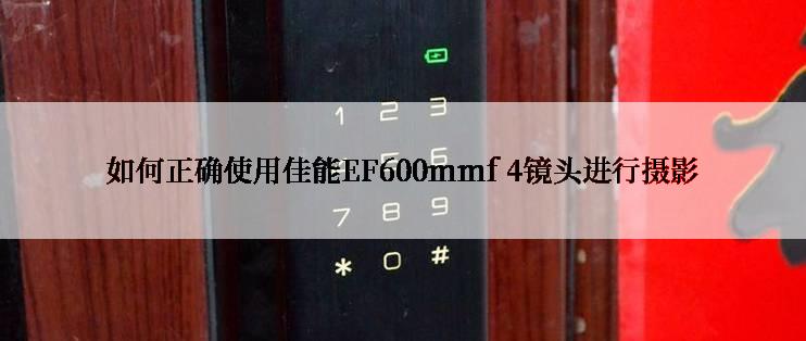 如何正确使用佳能EF600mmf 4镜头进行摄影